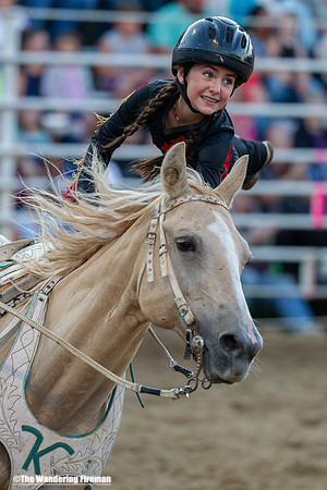 Leon Iowa rodeo trained horse performance