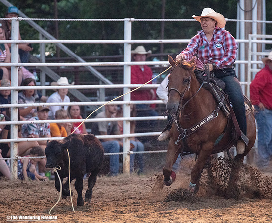 Calf Roping at the Leon Iowa Rodeo