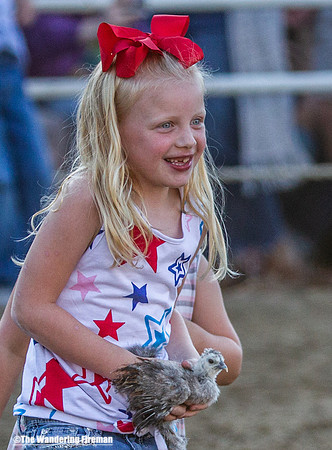 Leon Iowa rodeo critter scramble