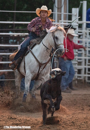 Calf Roping at the Leon Iowa Rodeo