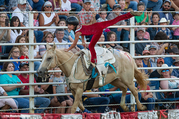 Leon Iowa rodeo trained horse performance