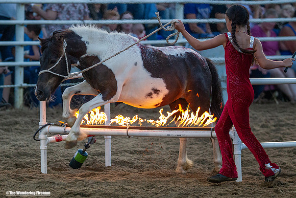 Leon Iowa rodeo trained horse performance
