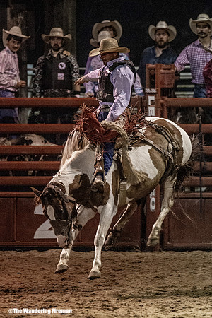 Saddle Bronc Riding at the Leon Iowa Rodeo
