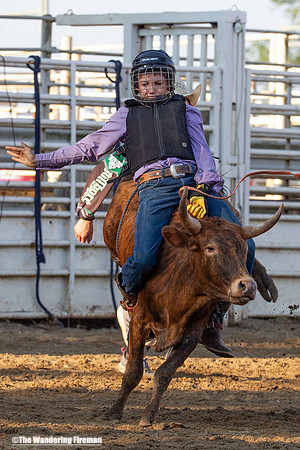 Leon Iowa rodeo calf busting event
