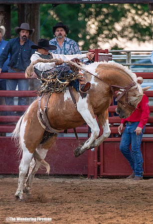 Leon Iowa rodeo rough stock bare back riding event