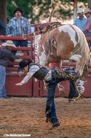 Leon Iowa rodeo rough stock bare back riding event