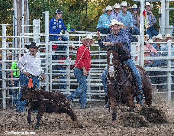 Calf Roping at the Leon Iowa Rodeo