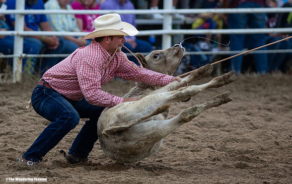 Calf Roping at the Leon Iowa Rodeo