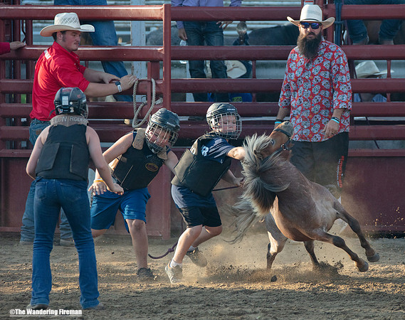 Leon Iowa rodeo Wild Pony event