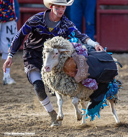 Leon Iowa rodeo critter scramble