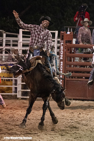 Saddle Bronc Riding at the Leon Iowa Rodeo