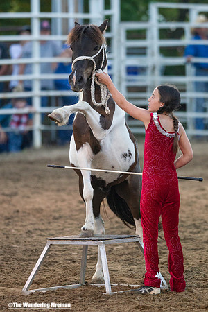 Leon Iowa rodeo trained horse performance