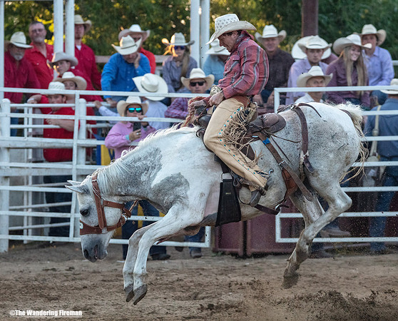 Saddle Bronc Riding at the Leon Iowa Rodeo