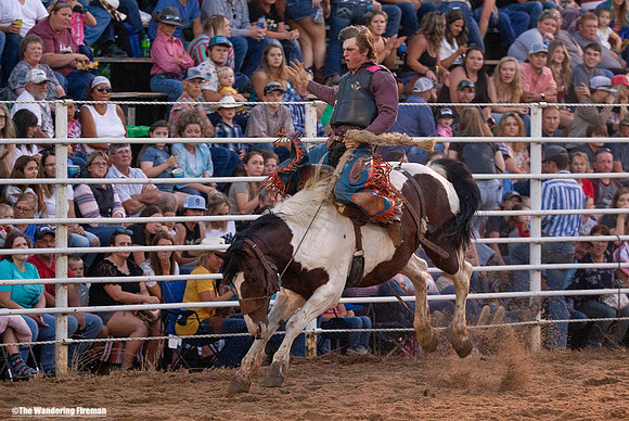 Saddle Bronc Riding at the Leon Iowa Rodeo