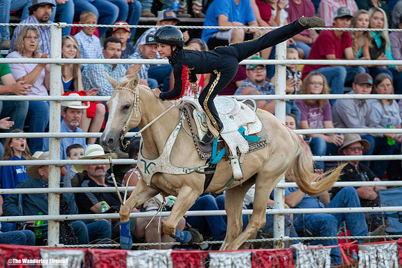 Leon Iowa rodeo trained horse performance