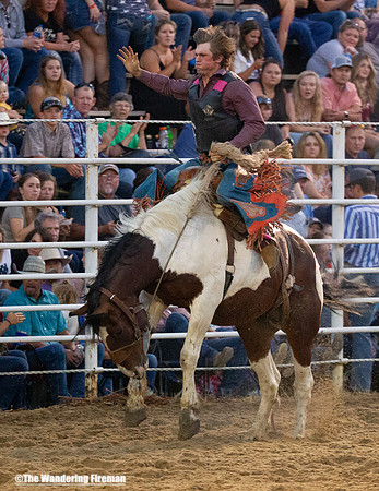 Saddle Bronc Riding at the Leon Iowa Rodeo
