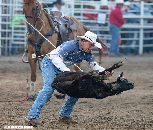 Calf Roping at the Leon Iowa Rodeo