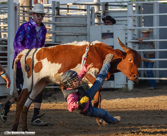 Leon Iowa rodeo calf busting event