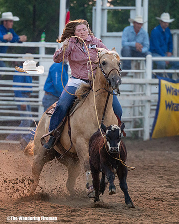 Calf Roping at the Leon Iowa Rodeo