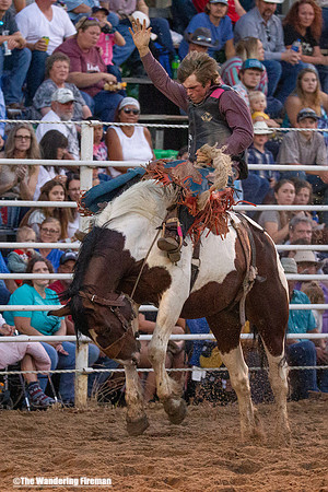 Saddle Bronc Riding at the Leon Iowa Rodeo