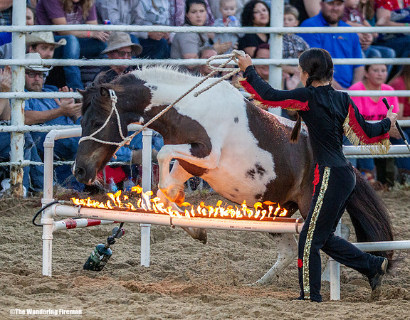 Leon Iowa rodeo trained horse performance