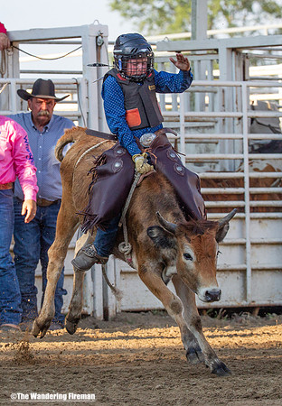 Leon Iowa rodeo calf busting event