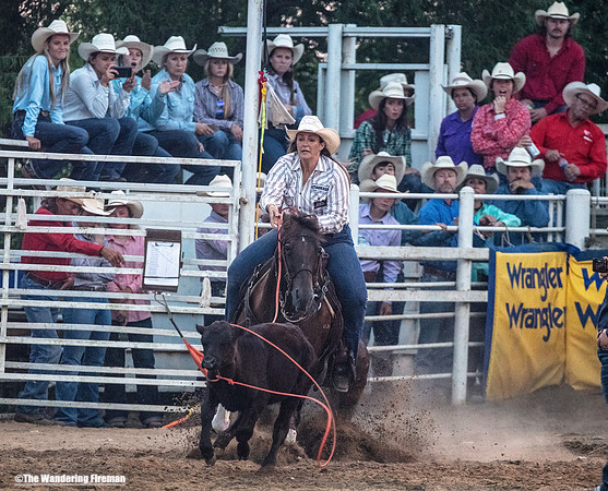 Calf Roping at the Leon Iowa Rodeo