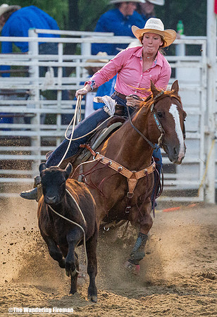 Calf Roping at the Leon Iowa Rodeo