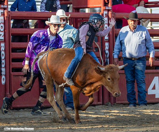 Leon Iowa rodeo calf busting event