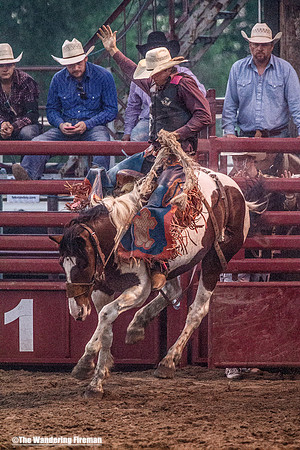 Saddle Bronc Riding at the Leon Iowa Rodeo