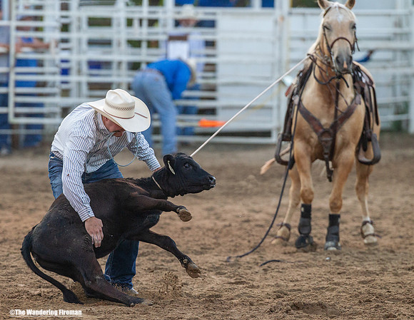 Calf Roping at the Leon Iowa Rodeo