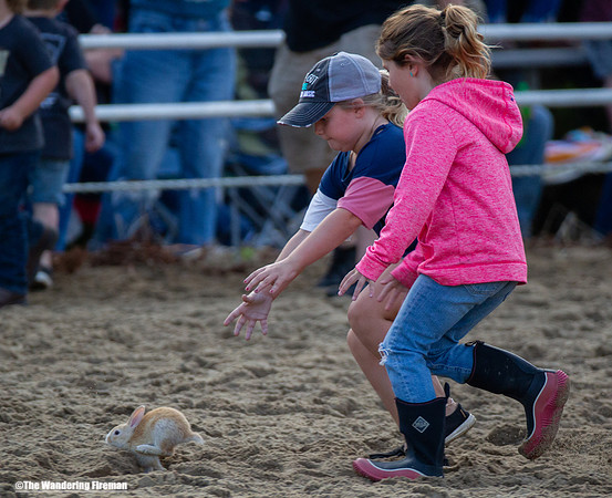 Leon Iowa rodeo children critter scramble