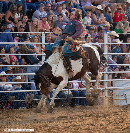Saddle Bronc Riding at the Leon Iowa Rodeo