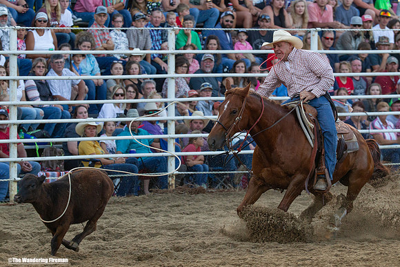 Calf Roping at the Leon Iowa Rodeo