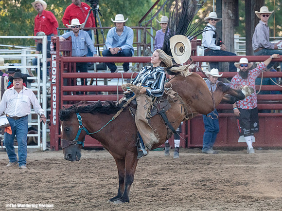 Saddle Bronc Riding at the Leon Iowa Rodeo