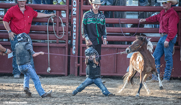 Leon Iowa rodeo wild pony event