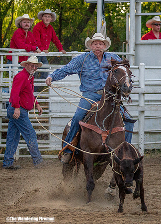 Calf Roping at the Leon Iowa Rodeo