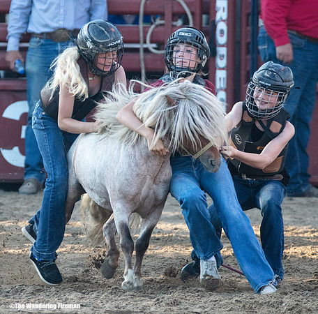 Leon Iowa rodeo Wild Pony event