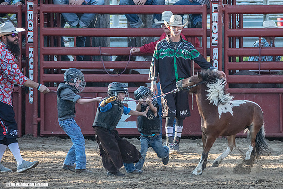 Leon Iowa rodeo Wild Pony event