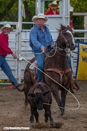 Calf Roping at the Leon Iowa Rodeo
