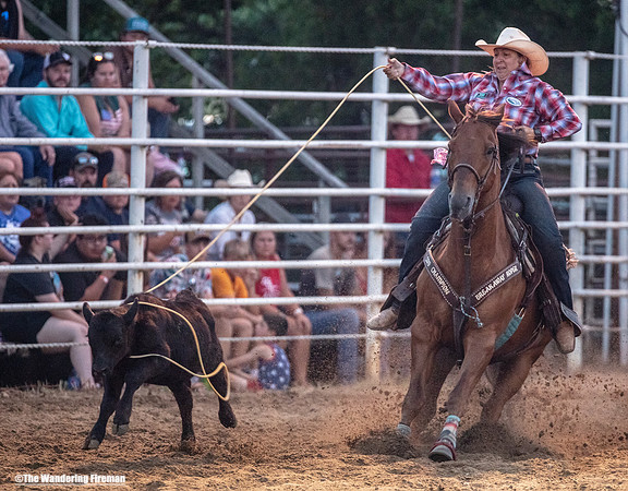 Calf Roping at the Leon Iowa Rodeo